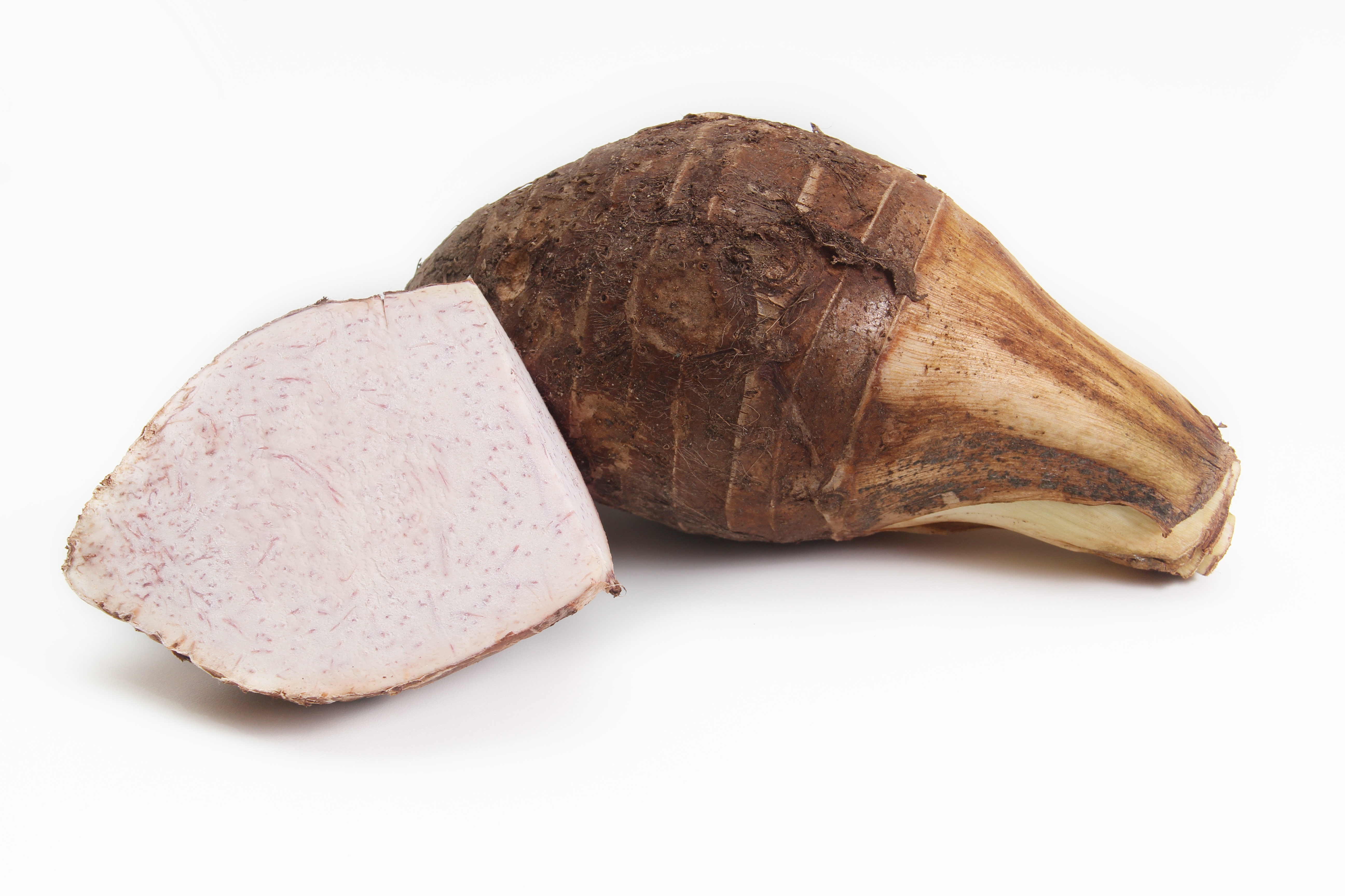 Foto asli umbi talas Colocasia esculenta dan irisannya